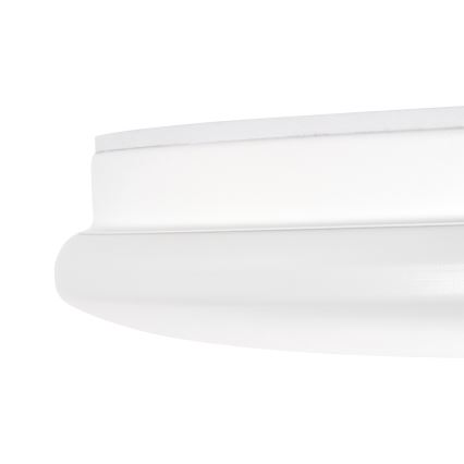ENELO LED Bathroom Ceiling Light, 10W/230V, Ø 24 cm, IP44