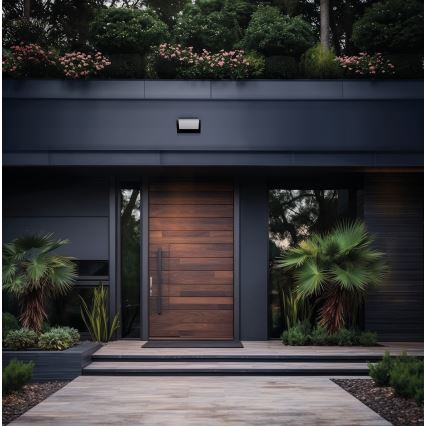 XERTO LED Outdoor Wall Light 20W/230V 3000/4000/6500K IP65 Black