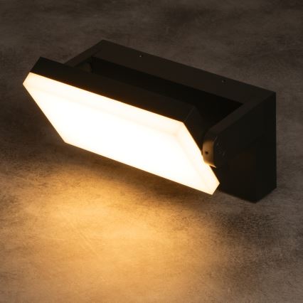 XERTO LED Outdoor Wall Light 20W/230V 3000/4000/6500K IP65 Black