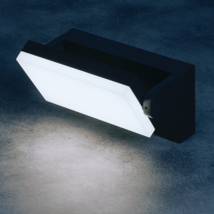 XERTO LED Outdoor Wall Light 20W/230V 3000/4000/6500K IP65 Black