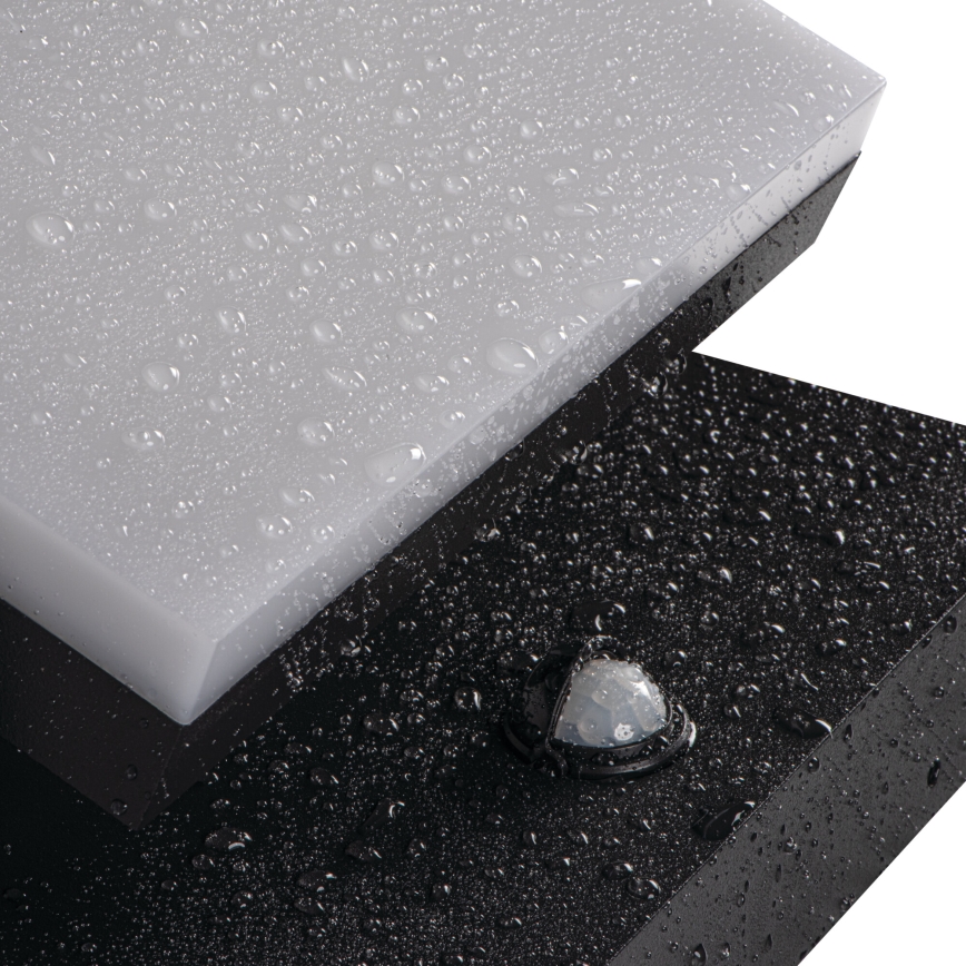 XERTO LED 20W Outdoor Wall Light with Motion and Dusk Sensor, 230V, 3000/4000/6500K, IP44, Black