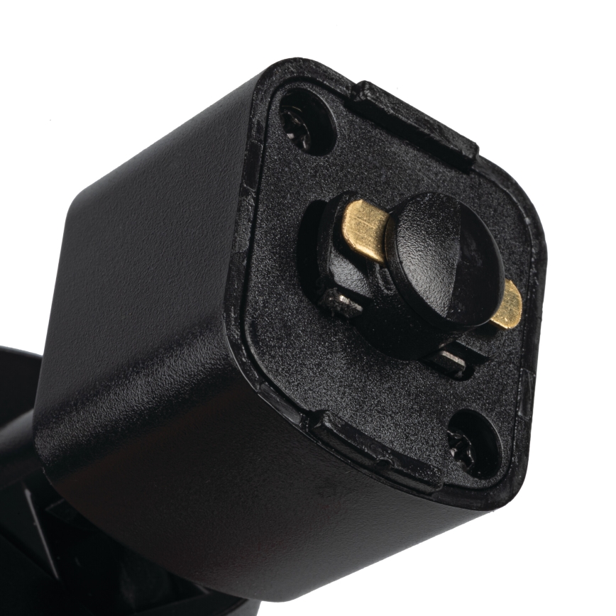 ALTEAR track-mounted spotlight 2xGU10/10W/230V 1m black