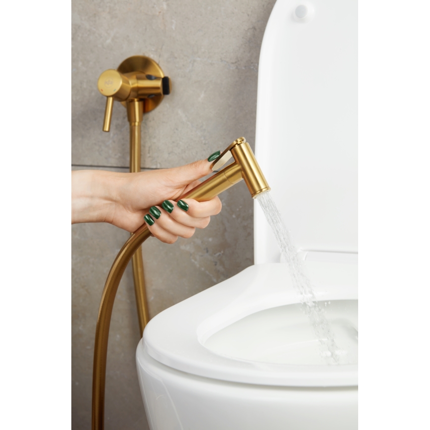 KFA Armatura 5039-512-31 - Bidet tap with shower for concealed installation MOZA ground gold