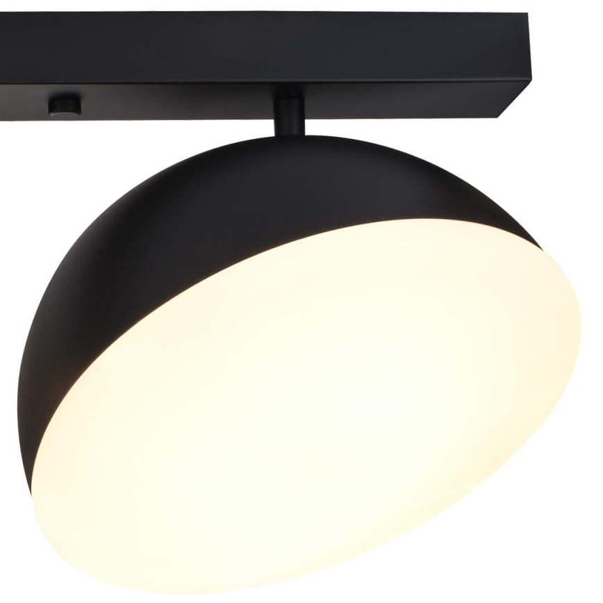 LED Spotlight CROWD 3xLED/20W/230V black