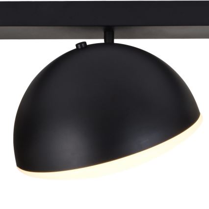 LED Spotlight CROWD 3xLED/20W/230V black