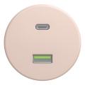 Kliklap - Retro USB A+C socket, frameless, old rose