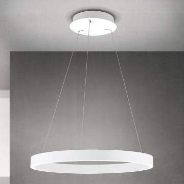 KOLK Dimmable LED Cable Pendant LED/60W/230V 2700/3000/4000K Ø 60 cm White