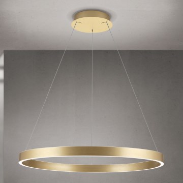 KOLK LED Dimmable Pendant Light on Cable LED/80W/230V 2700/3000/4000K dia. 80 cm Gold