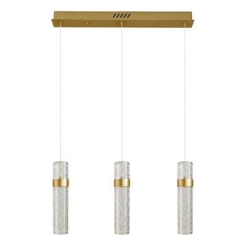 LAGOS LED Cable Pendant Light LED/24W/230V, Gold