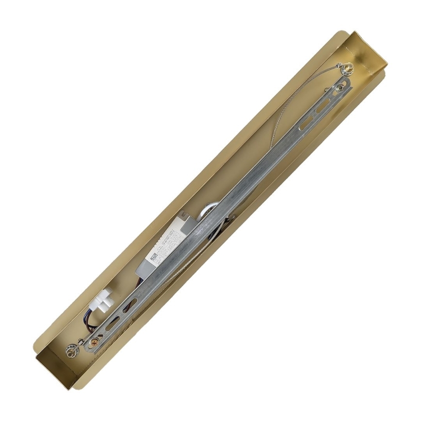 LAGOS LED Cable Pendant Light LED/24W/230V, Gold