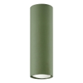 LAGOS Spotlight 1xGU10/10W/230V 20 cm Green