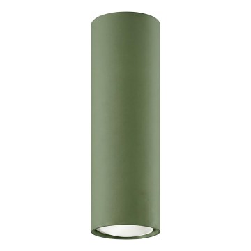 LAGOS Spotlight 1xGU10/10W/230V 20 cm Green