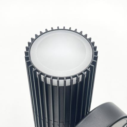 LANTHEA Outdoor Wall-Mounted Spotlight 1xGU10/11W/230V IP44, Black