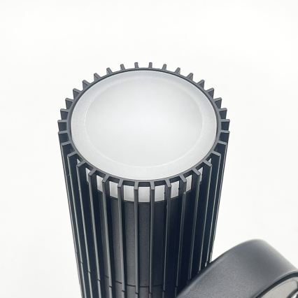 LANTHEA Outdoor Wall Spotlight 2xGU10/11W/230V IP44 Black