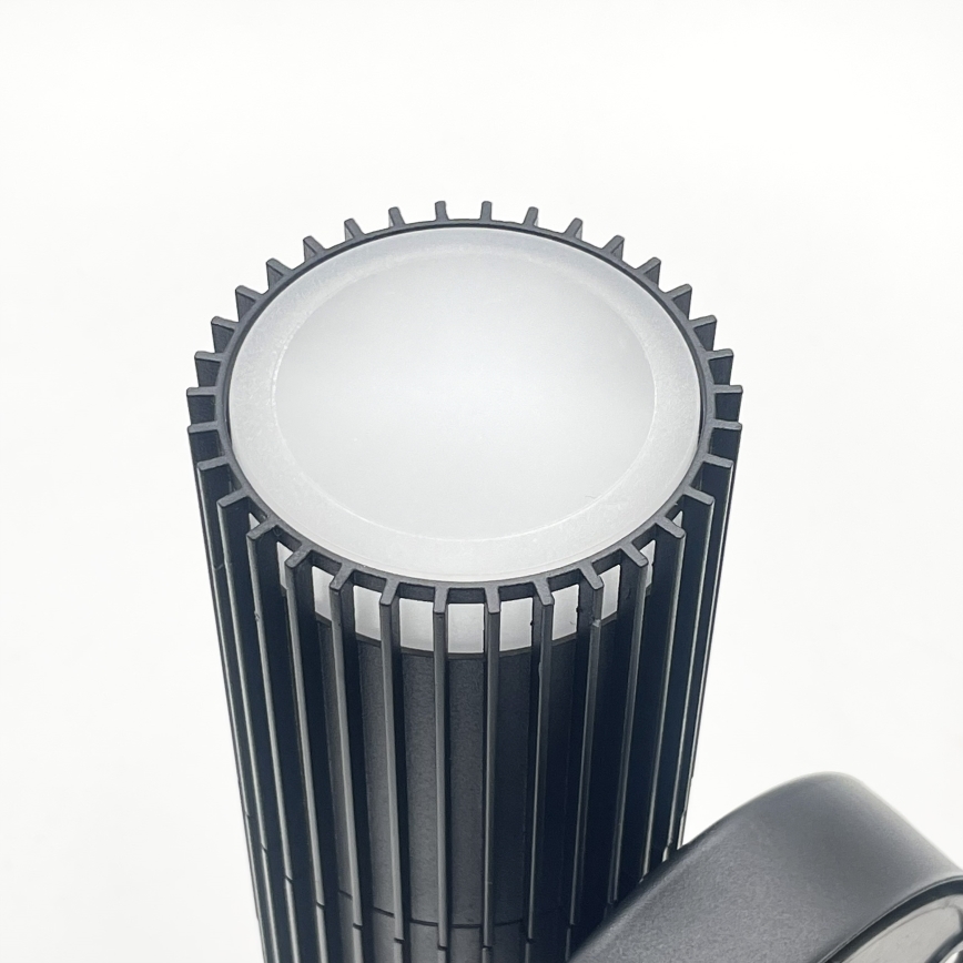 LANTHEA Outdoor Wall Spotlight 2xGU10/11W/230V IP44 Black