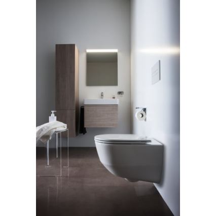 LAUFEN H8109630001041 - PRO Countertop/Wall-Mounted Washbasin 60 x 46.5 cm Ceramic/White