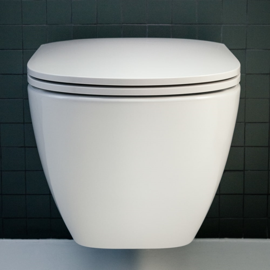 LAUFEN H8910830000001 - Toilet seat SoftClose LUA duroplast/white