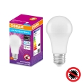 LED Antibacterial bulb A100 E27/13W/230V 6500K - Osram