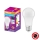 LED Antibacterial bulb A100 E27/13W/230V 6500K - Osram