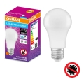 LED Antibacterial bulb A75 E27/10W/230V 6500K - Osram