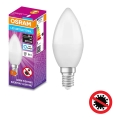 LED Antibacterial bulb B40 E14/4,9W/230V 6500K - Osram