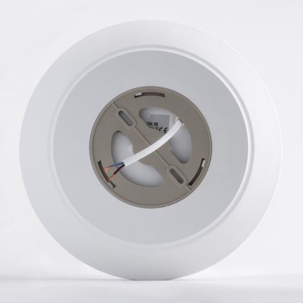 LED Bathroom ceiling light AVESTA LED/12W/230V 4000K IP54