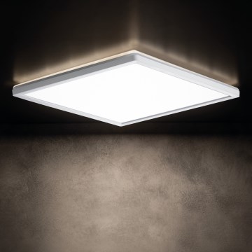 LED Bathroom ceiling light AZPO LED/12,3W/230V IP54 white