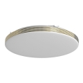 LED Bathroom ceiling light BEVER LED/16W/230V 4000K d. 33 cm IP44