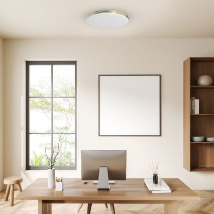 LED Bathroom ceiling light BEVER LED/16W/230V 4000K d. 33 cm IP44