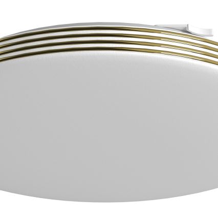 LED Bathroom ceiling light BEVER LED/16W/230V 4000K d. 33 cm IP44