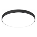LED Bathroom Ceiling Light CARTER LED/12W/230V 6000K IP44 Ø 22 cm Black
