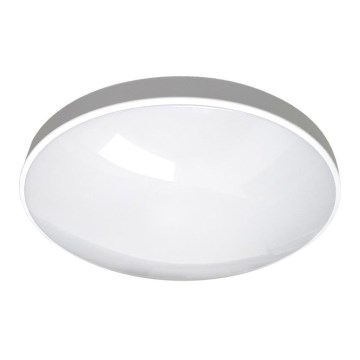 LED Bathroom ceiling light CIRCLE LED/12W/230V 4000K d. 25 cm IP44 white