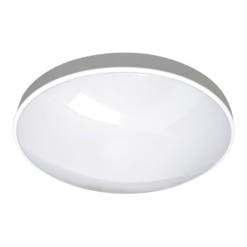LED Bathroom ceiling light CIRCLE LED/24W/230V 4000K d. 37 cm IP44 white