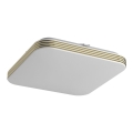 LED Bathroom ceiling light DABAR LED/11W/230V 4000K 26x26 cm IP44