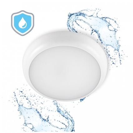 DEFENDER LED Bathroom Ceiling Light, 12/18/24W (230V), 3000/4000/6500K, IP65, Ø 30 cm, White