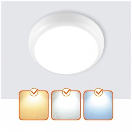 DEFENDER LED Bathroom Ceiling Light, 12/18/24W (230V), 3000/4000/6500K, IP65, Ø 30 cm, White
