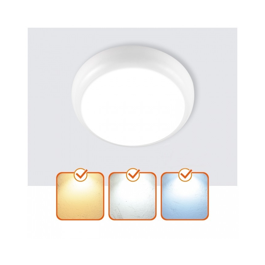 DEFENDER LED Bathroom Ceiling Light, 12/18/24W (230V), 3000/4000/6500K, IP65, Ø 30 cm, White