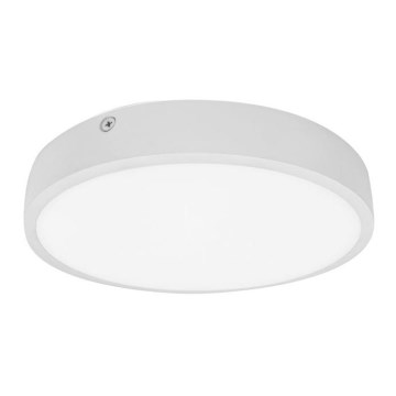 LED Bathroom ceiling light EGON LED/30W/230V IP44 3000K