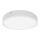 LED Bathroom ceiling light EGON LED/30W/230V IP44 3000K