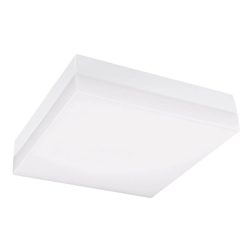 LED Bathroom ceiling light LED/12W/230V 3000/4000/6000K 22x22 cm IP44