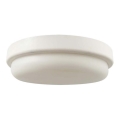 LED Bathroom ceiling light LED/12W/230V 6500K IP54