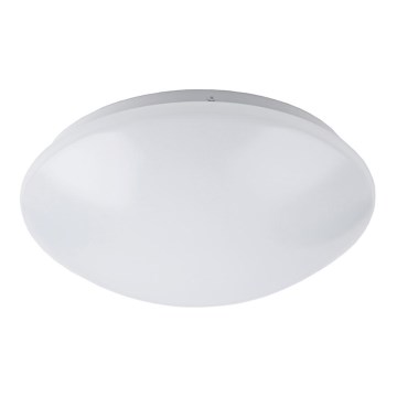 LED Bathroom ceiling light LED/12W/230V