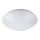 LED Bathroom ceiling light LED/12W/230V