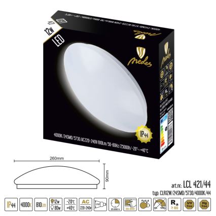 LED Bathroom ceiling light LED/12W/230V