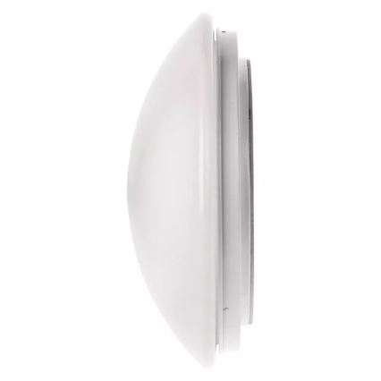 LED Bathroom ceiling light LED/12W/230V IP44