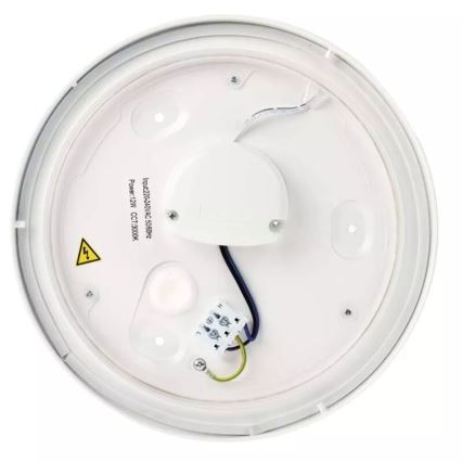 LED Bathroom ceiling light LED/12W/230V IP44