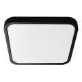 LED Bathroom ceiling light LED/18W/230V 3000K IP44 black