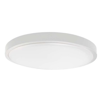 LED Bathroom ceiling light LED/18W/230V 4000K IP44 d. 22,5 cm white