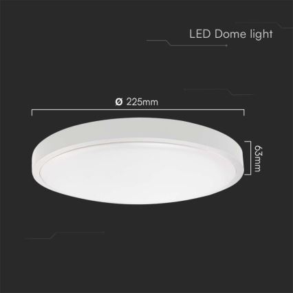 LED Bathroom ceiling light LED/18W/230V 4000K IP44 d. 22,5 cm white