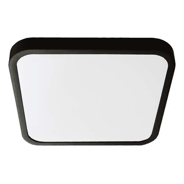 LED Bathroom ceiling light LED/18W/230V 6500K IP44 25x25 cm black